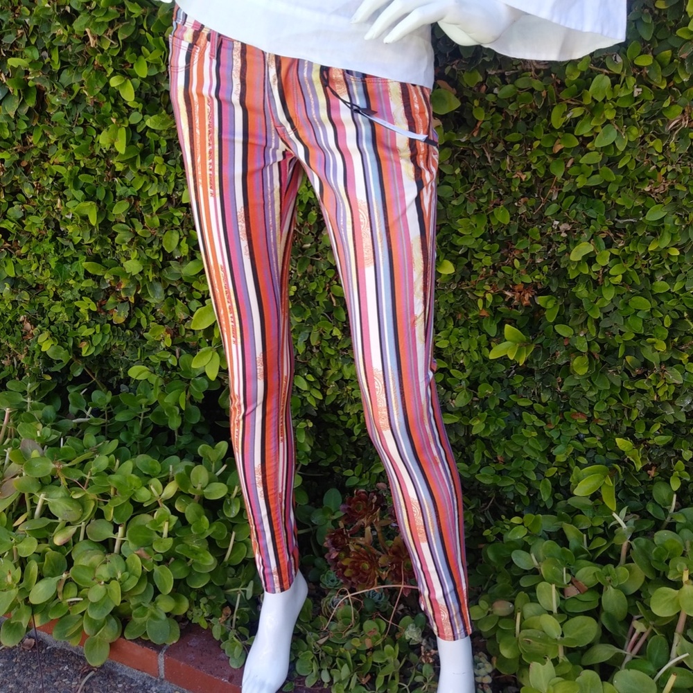 David Bitton Spice Stripe Pant size 27